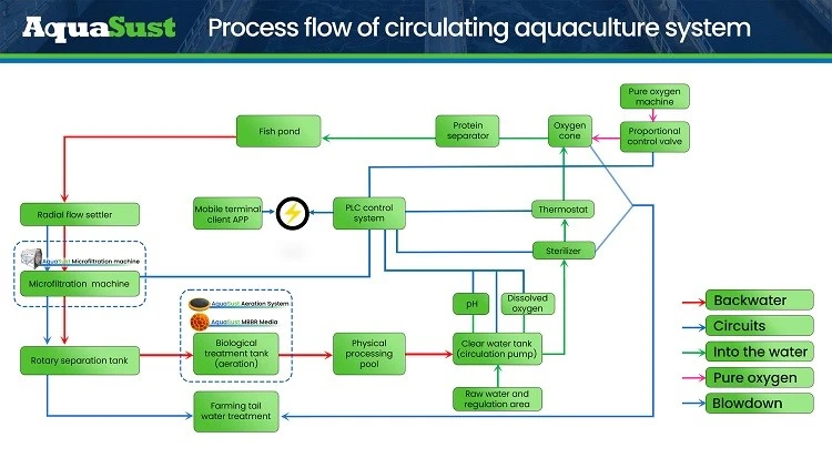 Process Flow of Circulating Aquaculture System